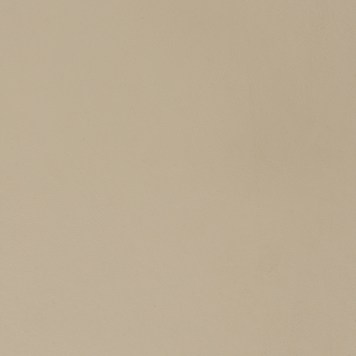 French Beige