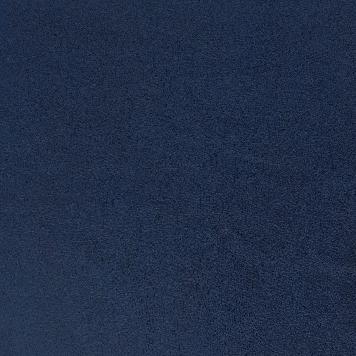 Ocean Blue