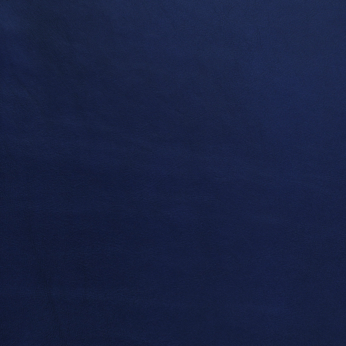Ocean Blue